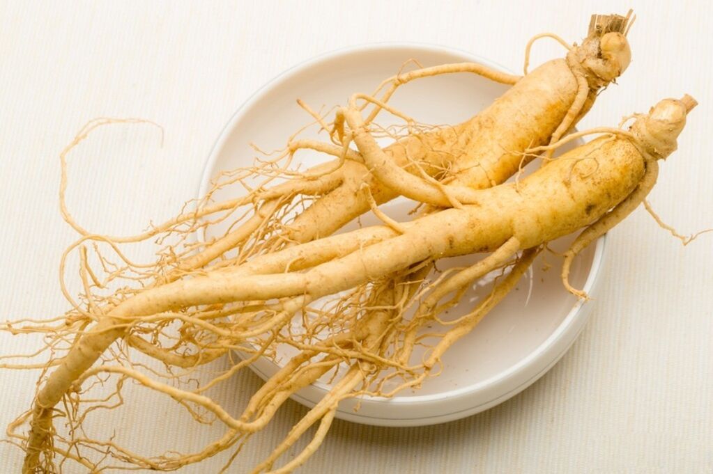 Ginseng erroa zakila handitzen duen tintura baten oinarria da